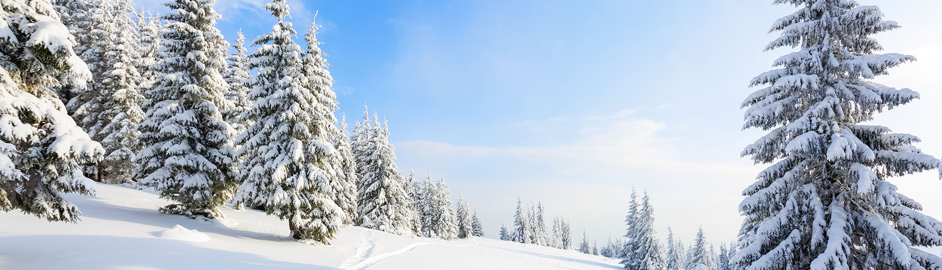 Naša priča - Brzeće centar